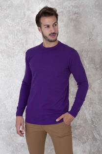 Sweater 8501 - 