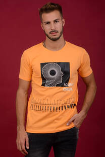 Remera 1589 - 