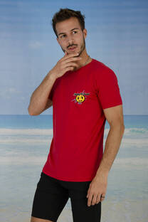 Remera 1635 - 