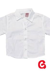 Camisa bb poplin liso mc - 