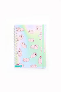 CUADERNO «CHANCHIS». - 