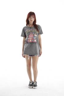 Remera Pink Floyd art 1420 - 