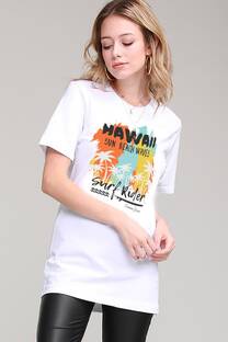 Remeron clasico Hawaii Surf Rider colores verticales - 