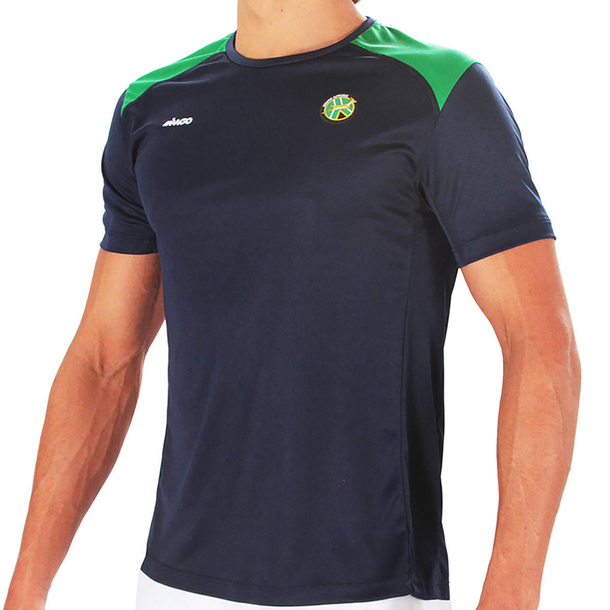 Imagen carrousel Remera Microfibra Springboks Team 1