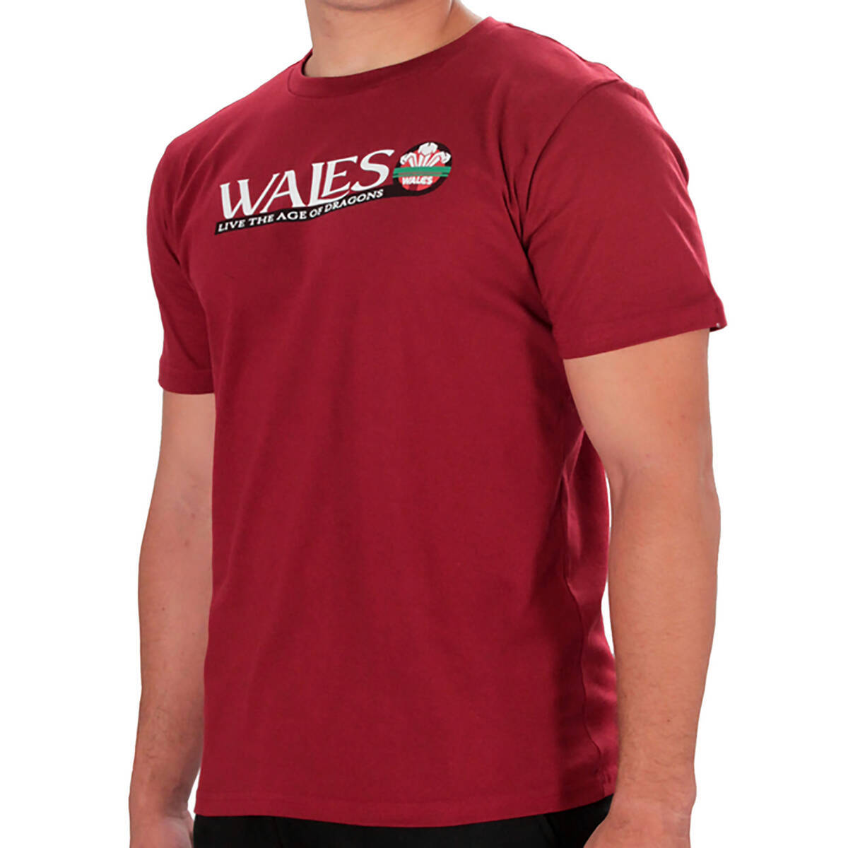 Imagen carrousel Remera Wales Live the Ages of Dragons 1